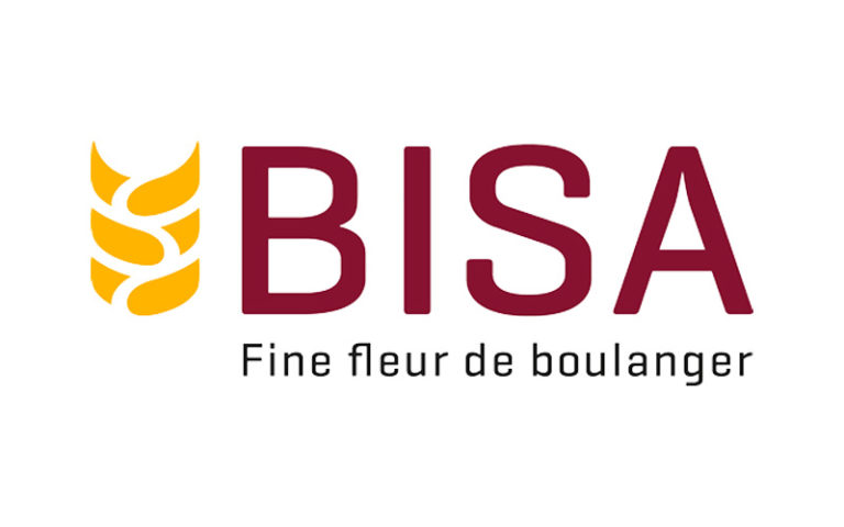 Bisa